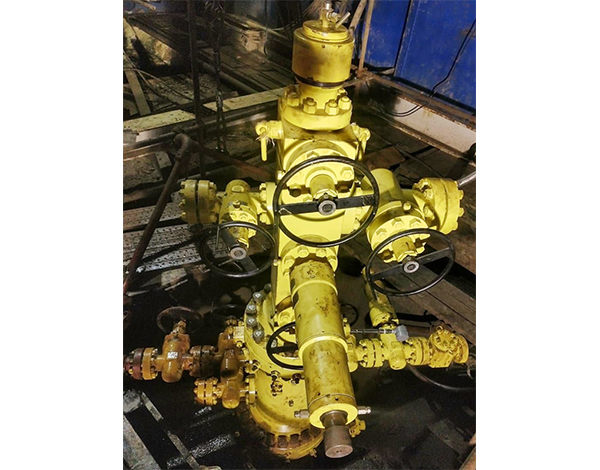 Integrated quick installation wellhead device and oil (gas) tree